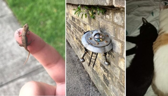 El tamaño importa: 22 pruebas de la ley de la relatividad que Einstein nunca soñó