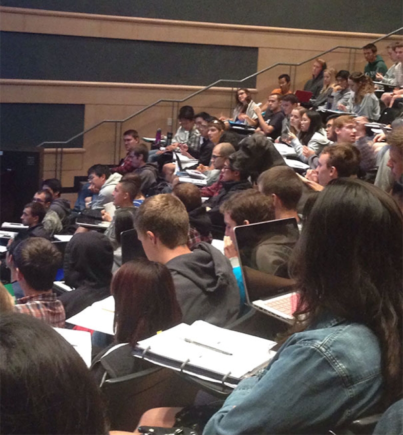 El tercer extra: maestros del disfraz, que incluso un Ojo Afilado indio no encontrará