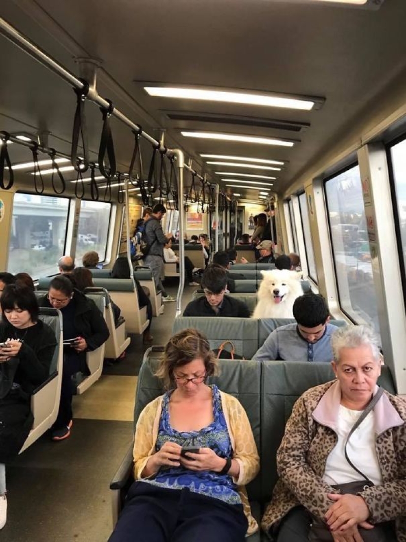 El tercer extra: maestros del disfraz, que incluso un Ojo Afilado indio no encontrará