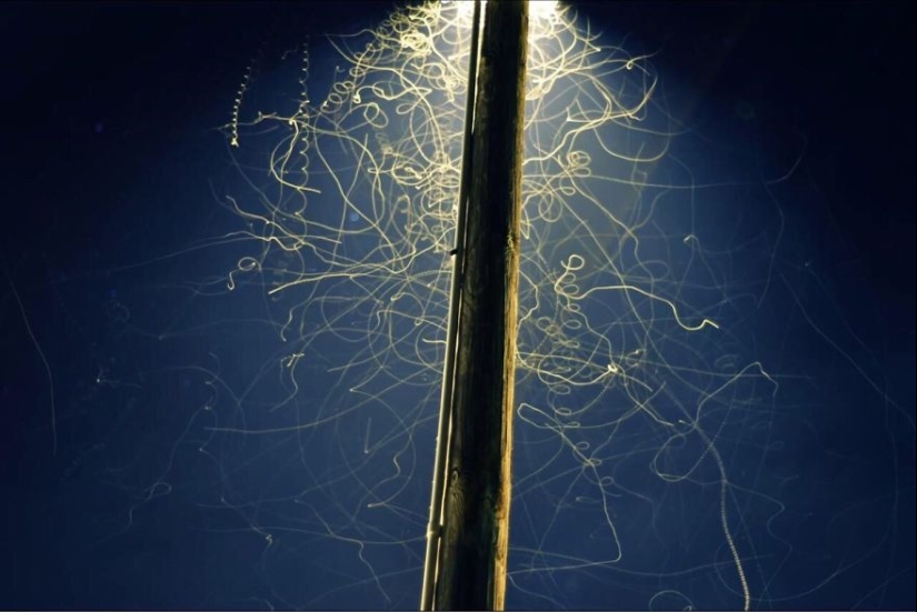 El tren fantasma y otras maravillas de larga duración