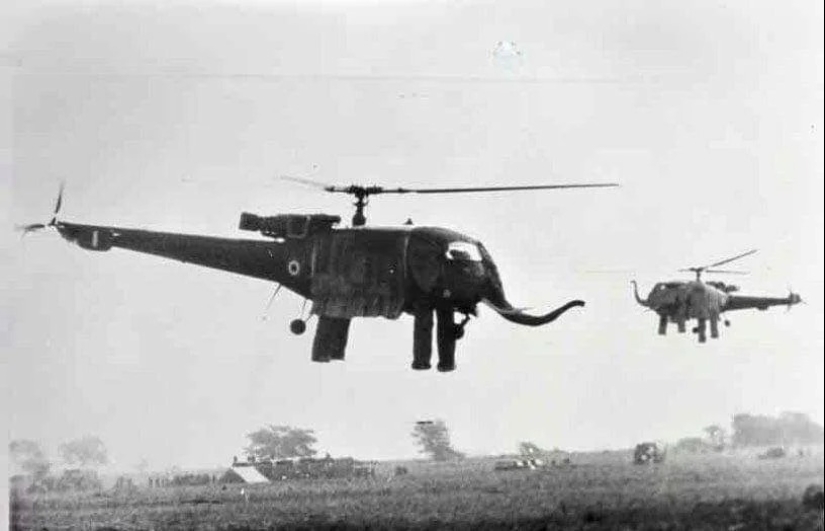 Elephant helicopters of the Indian army: the enemy will be scared Elephant helicopters of the Indian army: the enemy will be scared