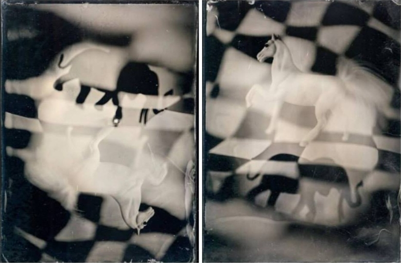 En el mundo de las hadas ambrotypes En el mundo de las hadas ambrotypes