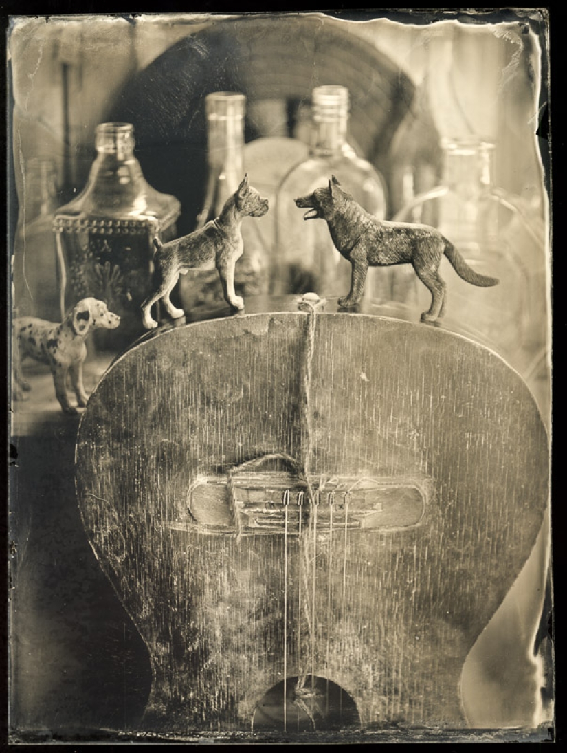 En el mundo de las hadas ambrotypes En el mundo de las hadas ambrotypes