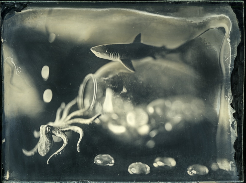 En el mundo de las hadas ambrotypes En el mundo de las hadas ambrotypes