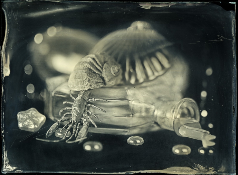 En el mundo de las hadas ambrotypes En el mundo de las hadas ambrotypes
