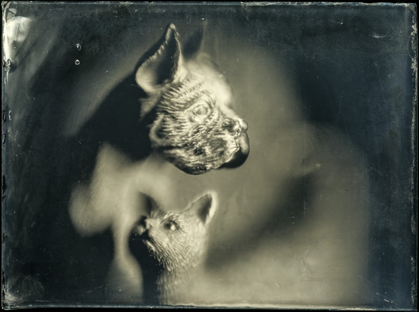 En el mundo de las hadas ambrotypes En el mundo de las hadas ambrotypes