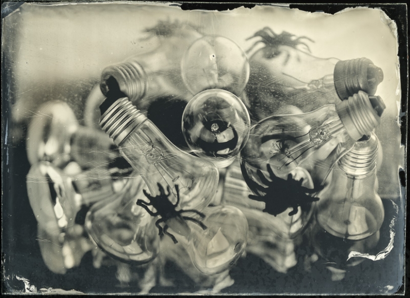 En el mundo de las hadas ambrotypes En el mundo de las hadas ambrotypes