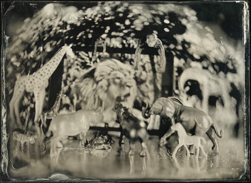 En el mundo de las hadas ambrotypes En el mundo de las hadas ambrotypes