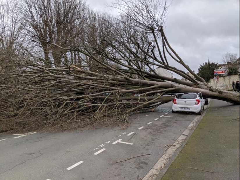 En el pie equivocado: 20 fotos de personas cuyo día no comenzó muy bien En el pie equivocado: 20 fotos de personas cuyo día no comenzó muy bien