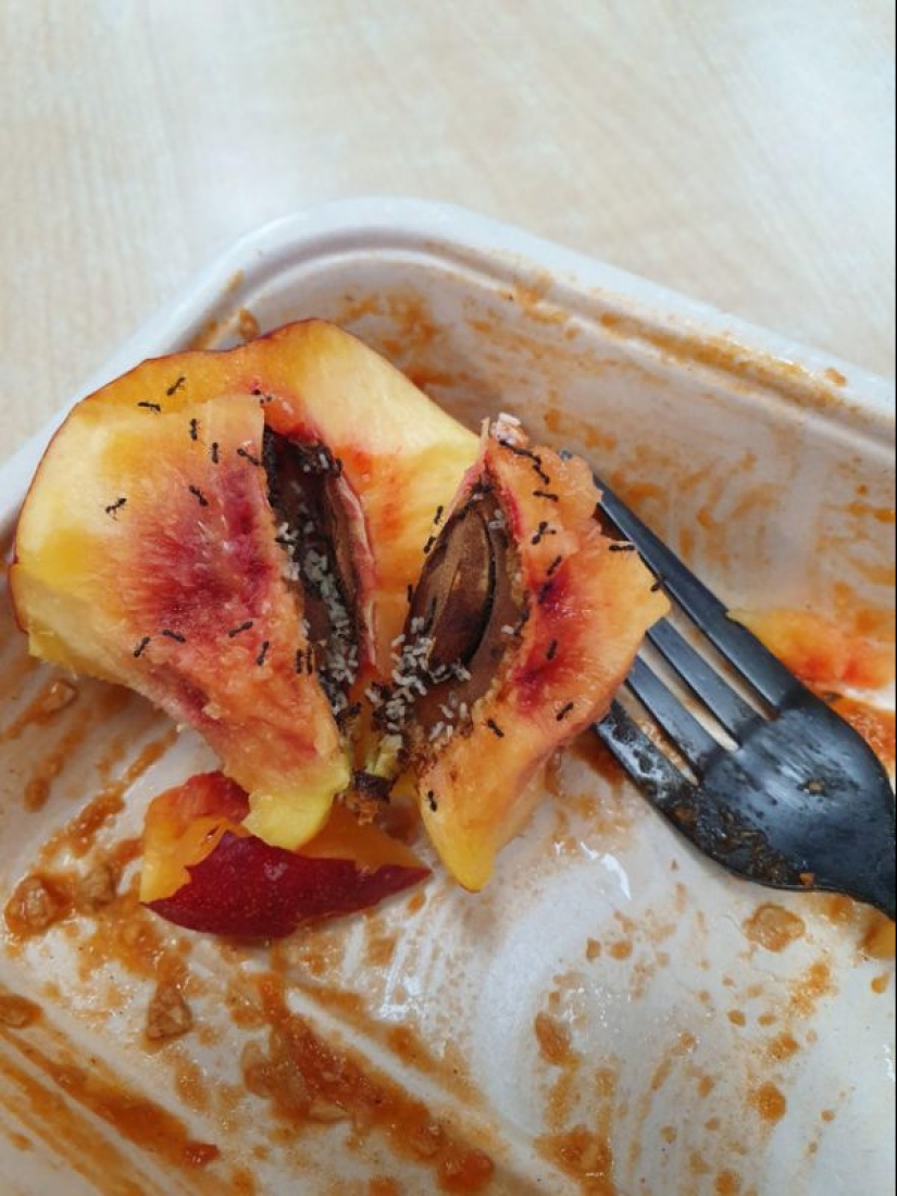 En el pie equivocado: 20 fotos de personas cuyo día no comenzó muy bien En el pie equivocado: 20 fotos de personas cuyo día no comenzó muy bien