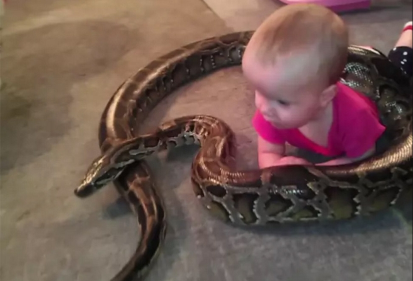 En estas fotos, algo de estaño está sucediendo