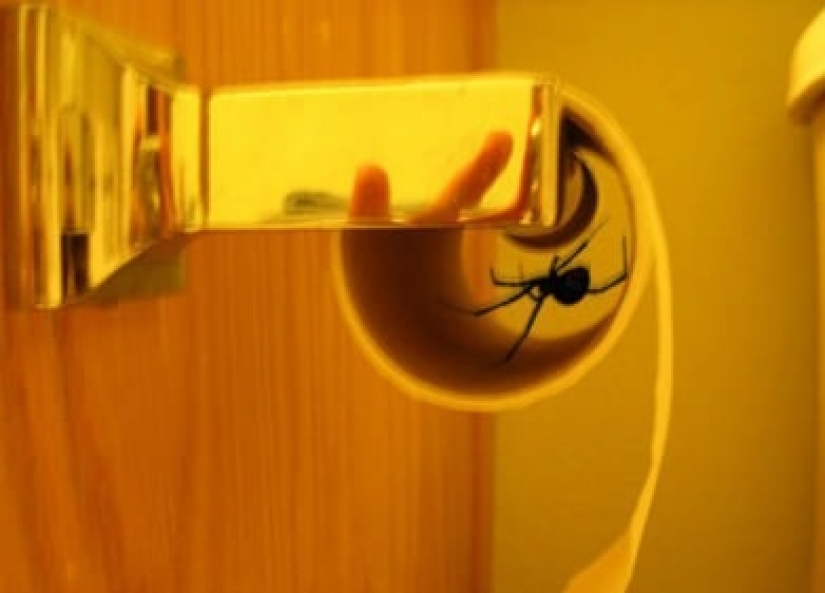 En estas fotos, algo de estaño está sucediendo