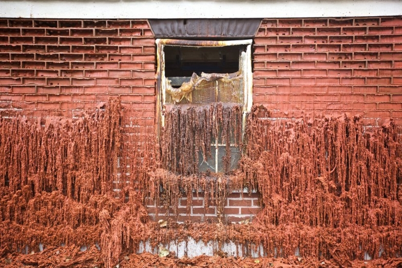 En las manos de este británico, las casas se derriten, vuelan y se deslizan a los pies de los transeúntes En las manos de este británico, las casas se derriten, vuelan y se deslizan a los pies de los transeúntes