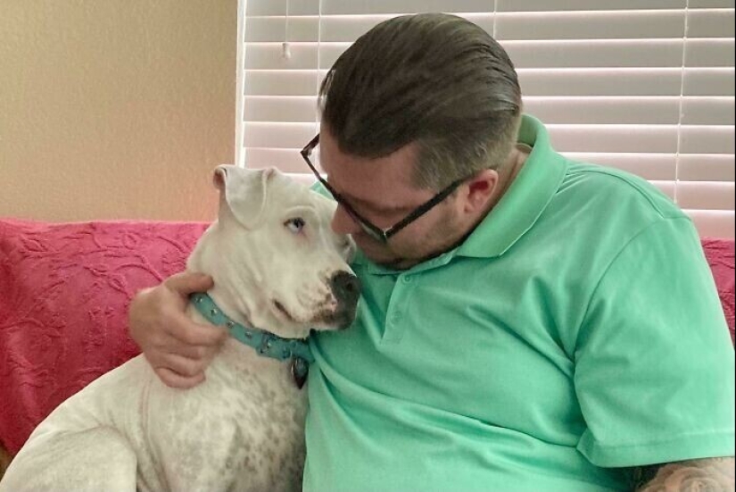 En lugar de las palabras a la vista: 20+ Mascotas que amo profundamente a sus dueños