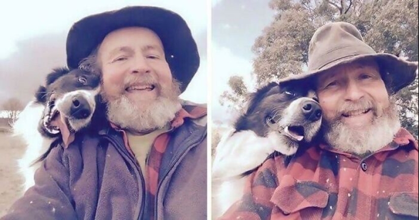 En lugar de las palabras a la vista: 20+ Mascotas que amo profundamente a sus dueños