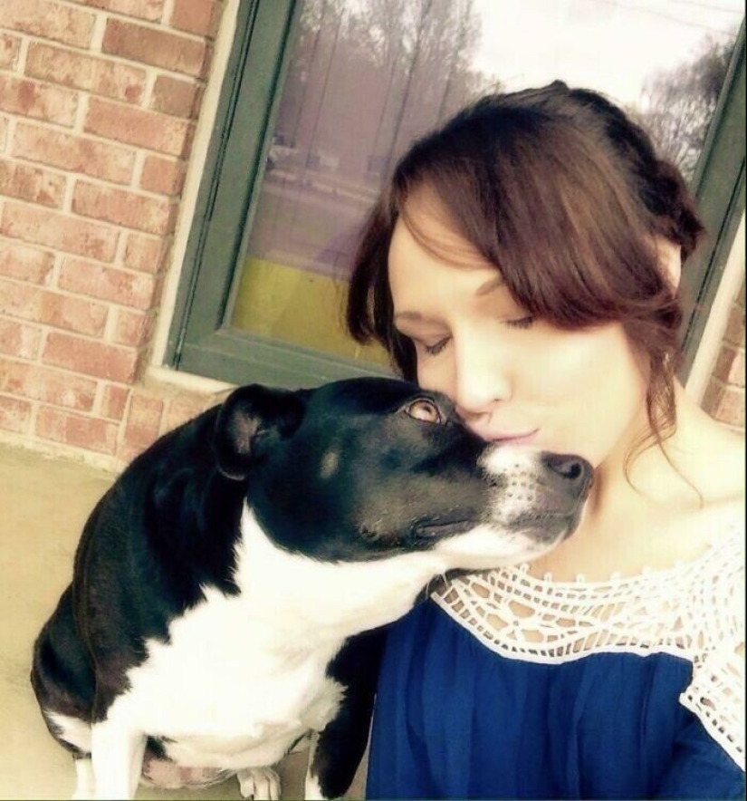 En lugar de las palabras a la vista: 20+ Mascotas que amo profundamente a sus dueños