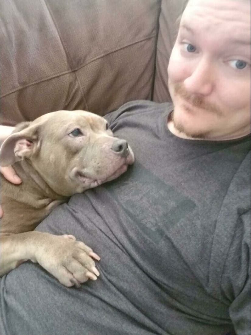 En lugar de las palabras a la vista: 20+ Mascotas que amo profundamente a sus dueños