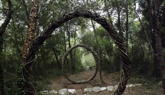 En un año de vivir en el bosque, Spencer Biles lo convirtió en un cuento de hadas En un año de vivir en el bosque, Spencer Biles lo convirtió en un cuento de hadas