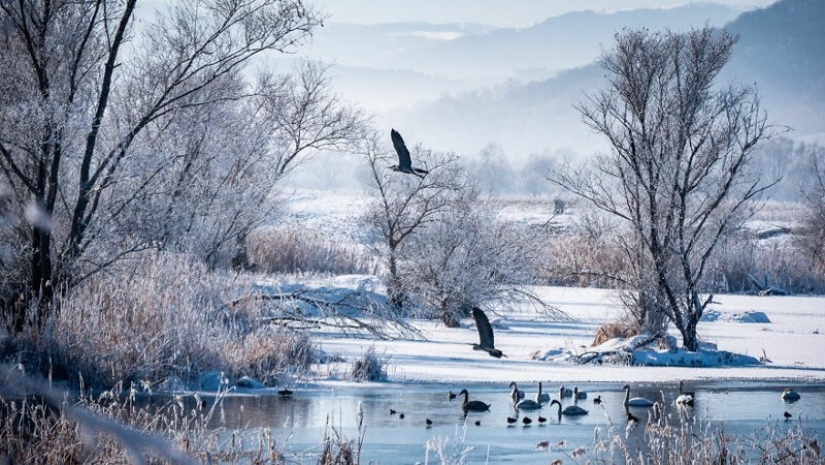 Encantadoras de la naturaleza y las tradiciones antiguas de Rumania