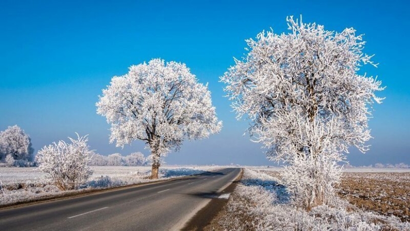 Encantadoras de la naturaleza y las tradiciones antiguas de Rumania