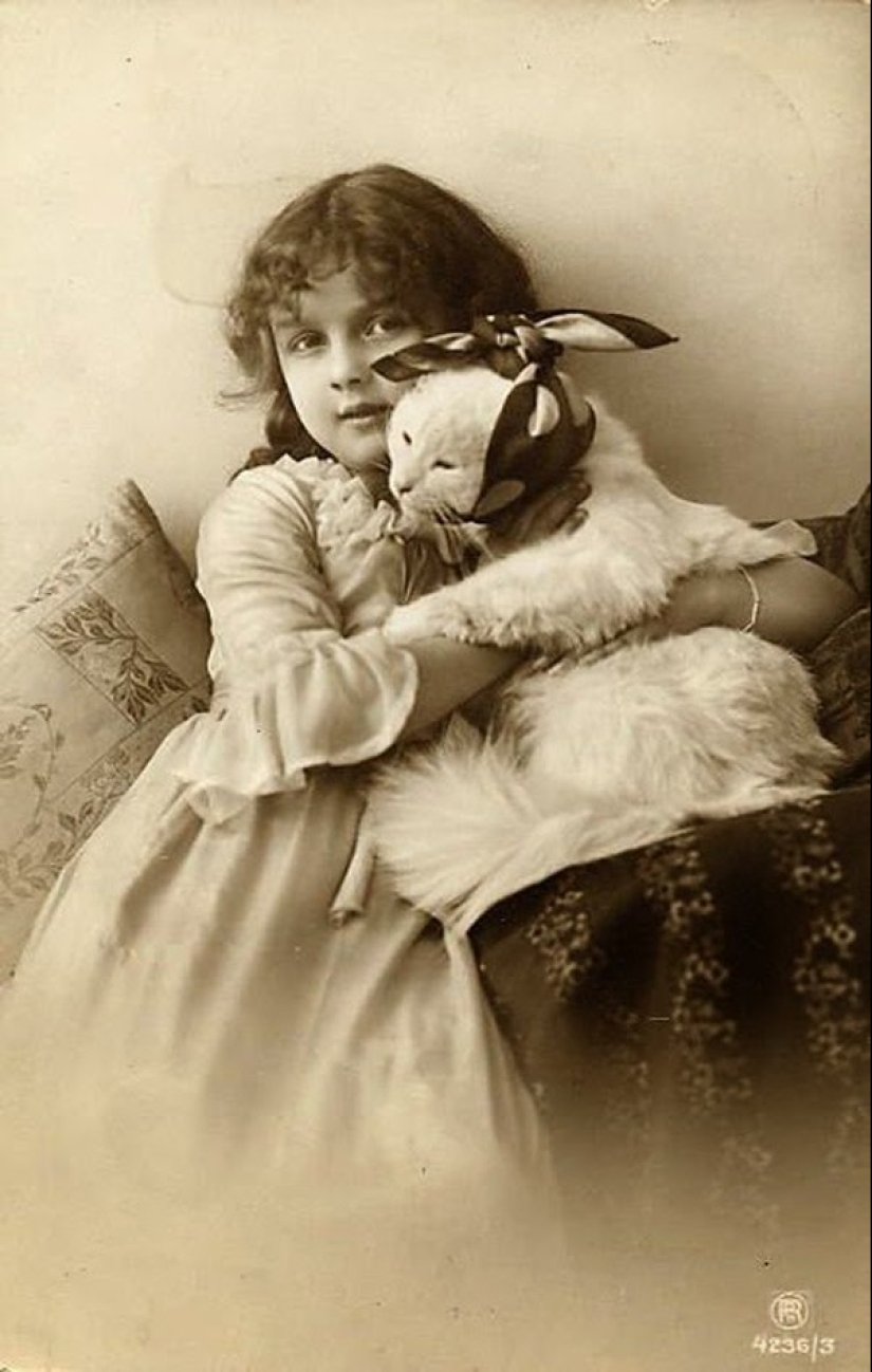 Encantadores gatos vintage que demostrarán que los gatos han gobernado el mundo en todo momento Encantadores gatos vintage que demostrarán que los gatos han gobernado el mundo en todo momento