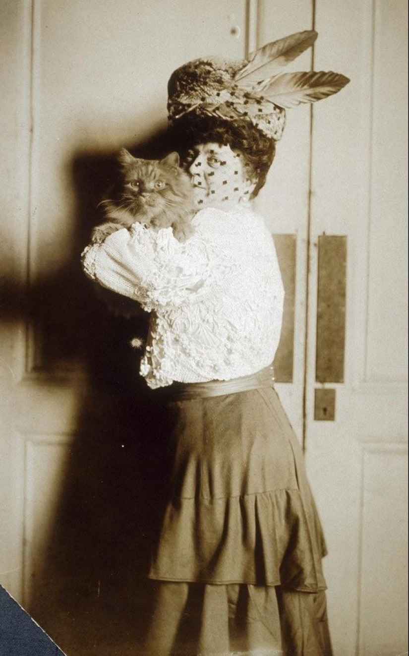 Encantadores gatos vintage que demostrarán que los gatos han gobernado el mundo en todo momento Encantadores gatos vintage que demostrarán que los gatos han gobernado el mundo en todo momento