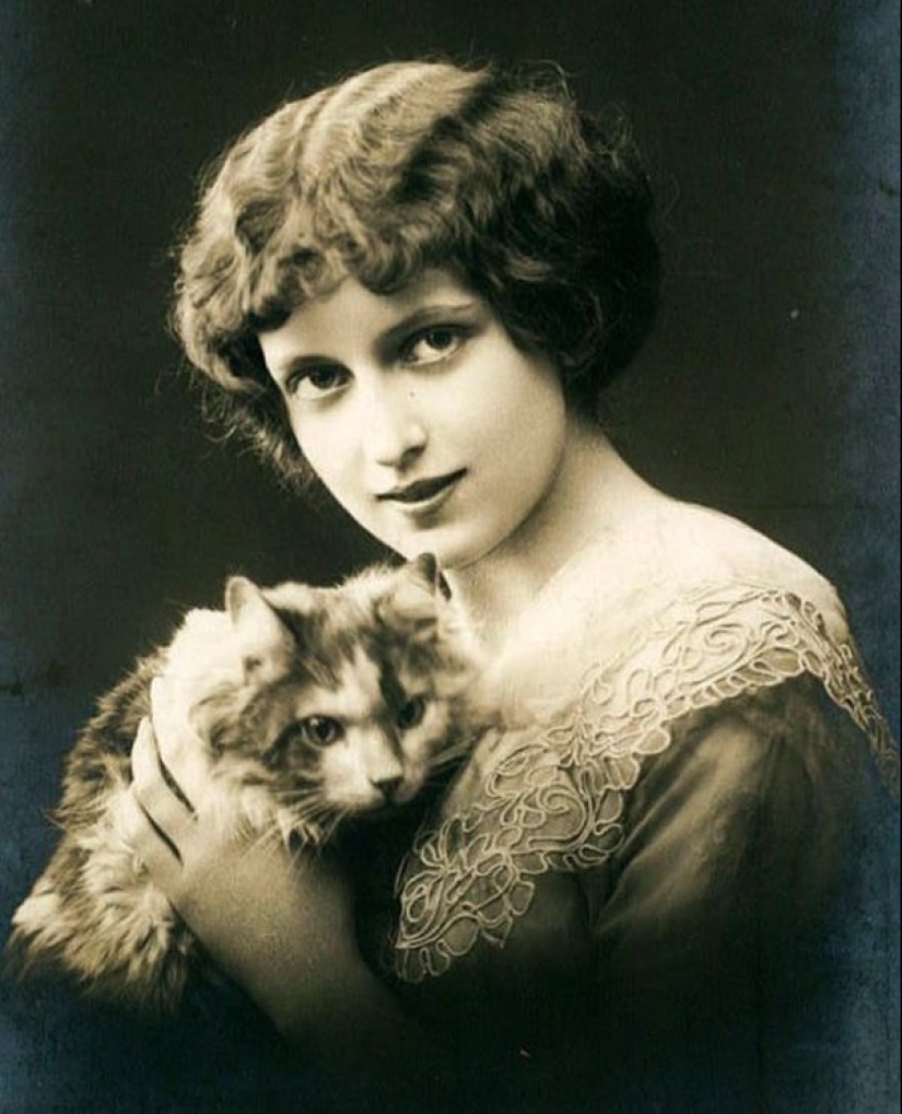 Encantadores gatos vintage que demostrarán que los gatos han gobernado el mundo en todo momento Encantadores gatos vintage que demostrarán que los gatos han gobernado el mundo en todo momento