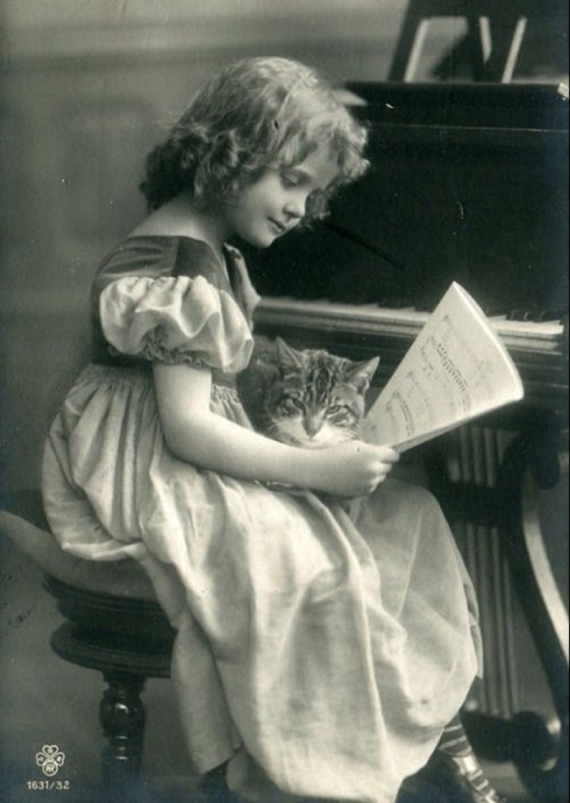 Encantadores gatos vintage que demostrarán que los gatos han gobernado el mundo en todo momento Encantadores gatos vintage que demostrarán que los gatos han gobernado el mundo en todo momento