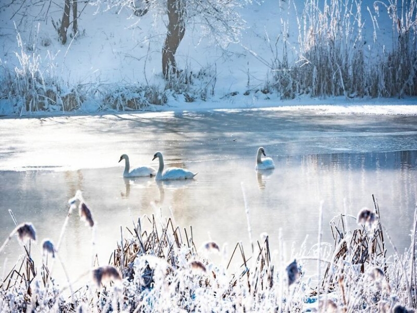 Enchanting nature and old traditions of Romania