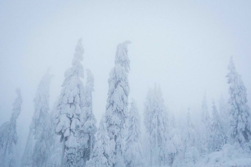 Enchanting nature and old traditions of Romania