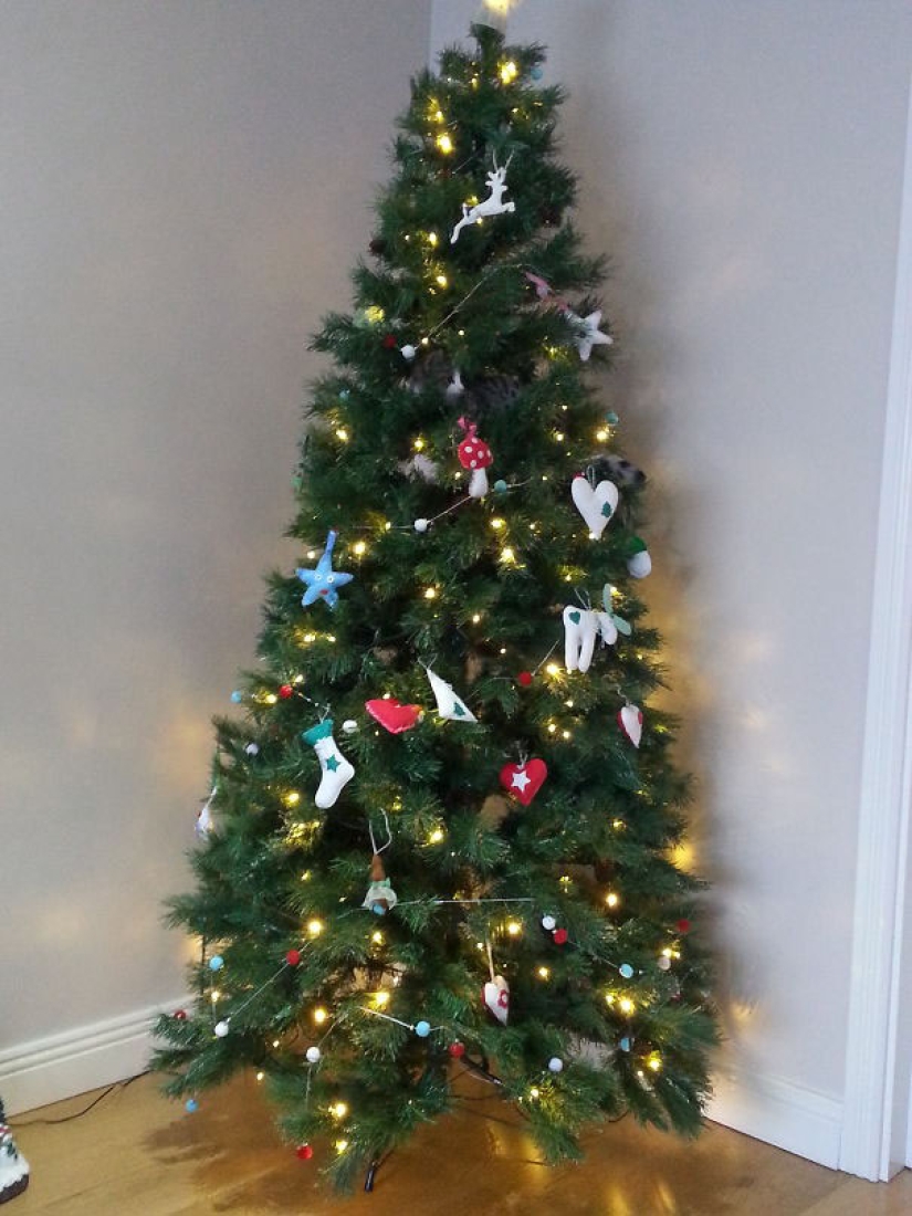 Encontrar el gato: astuto barbas a rayas, que son imposibles de encontrar en la foto