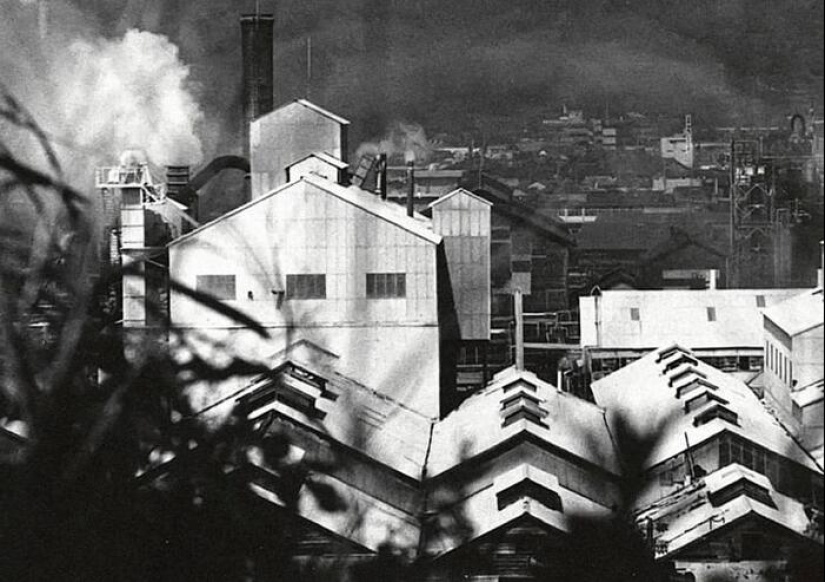 Enfermedad de Minamata: cómo la planta mató en secreto a los japoneses durante décadas Enfermedad de Minamata: cómo la planta mató en secreto a los japoneses durante décadas