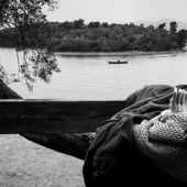 Enfermedad de Minamata: cómo la planta mató en secreto a los japoneses durante décadas