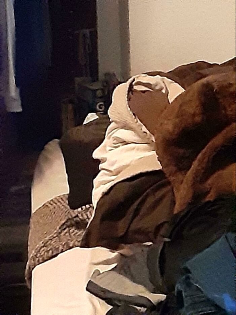 Engañosa perspectiva: 22 ejemplo ilusiones ópticas