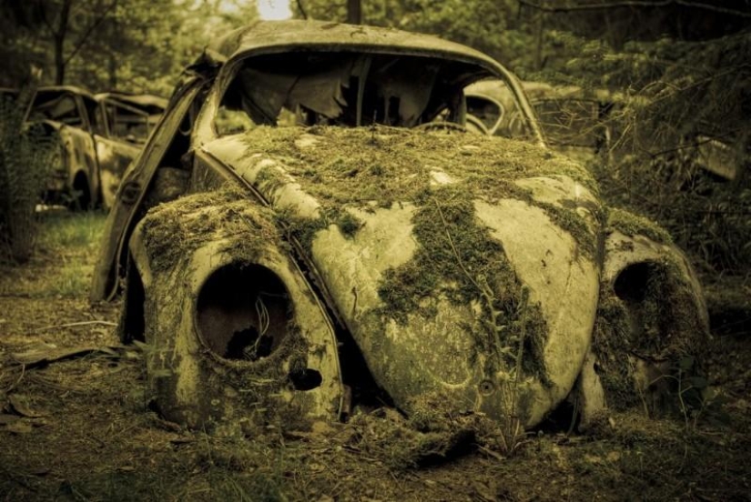 Enorme atasco de tráfico en el bosque belga Enorme atasco de tráfico en el bosque belga