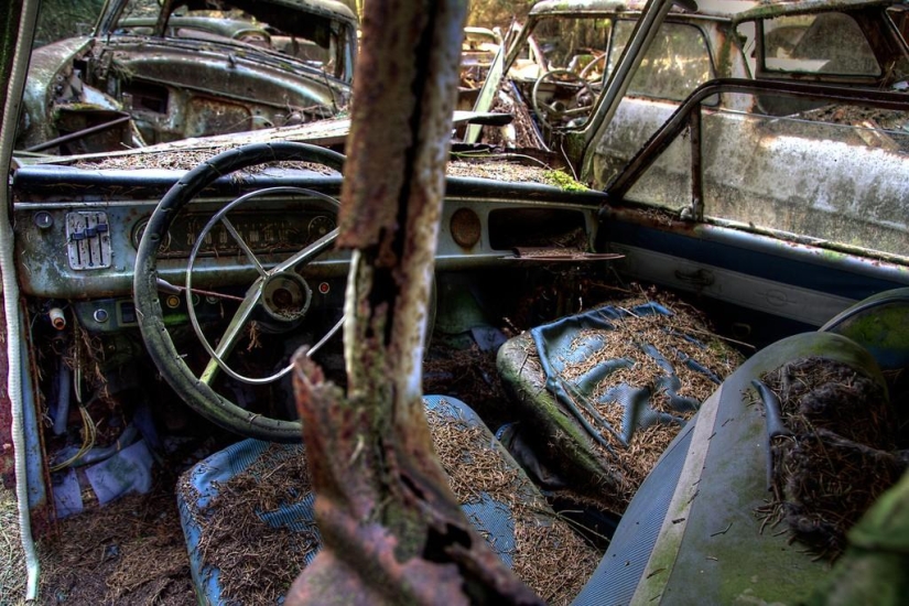 Enorme atasco de tráfico en el bosque belga Enorme atasco de tráfico en el bosque belga