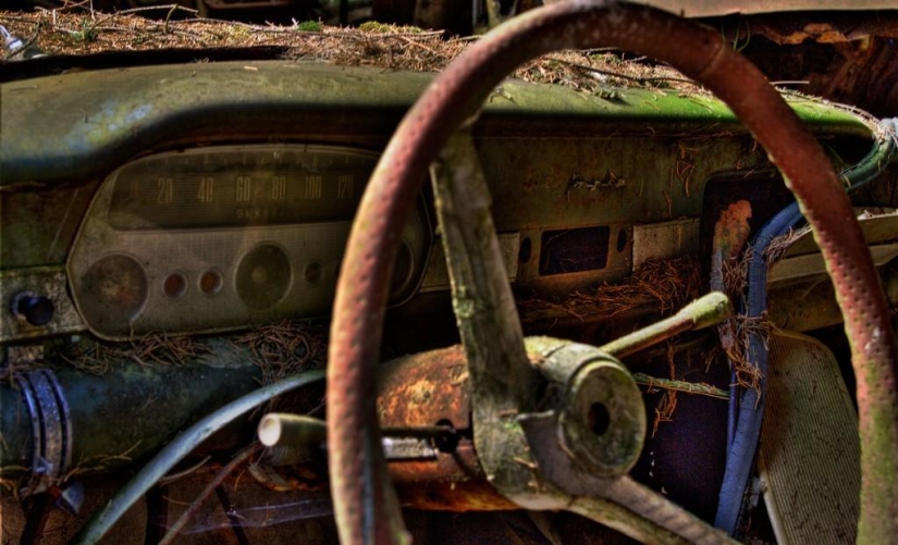 Enorme atasco de tráfico en el bosque belga Enorme atasco de tráfico en el bosque belga