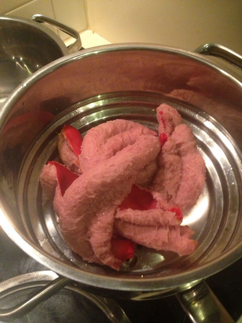 Epic fracasos en la cocina, que te harán creer que sus habilidades de cocina