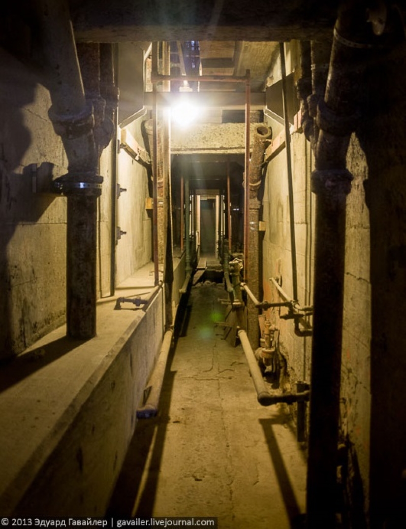 Escape from the "Alcatraz": the story of three inmates who escaped from the most secure prison USA Escape from the "Alcatraz": the story of three inmates who escaped from the most secure prison USA