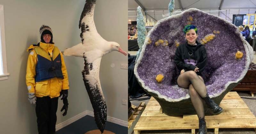 ¡Ese es el tamaño! 22 veces en las que las dimensiones reales eran completamente inesperadas ¡Ese es el tamaño! 22 veces en las que las dimensiones reales eran completamente inesperadas