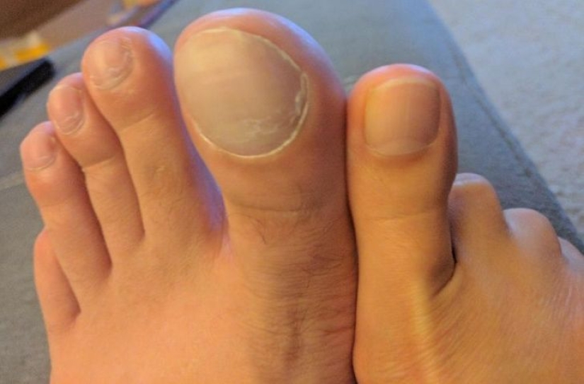 ¡Ese es el tamaño! 22 veces en las que las dimensiones reales eran completamente inesperadas ¡Ese es el tamaño! 22 veces en las que las dimensiones reales eran completamente inesperadas