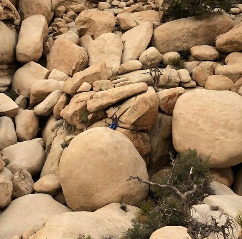 ¡Ese es el tamaño! 22 veces en las que las dimensiones reales eran completamente inesperadas ¡Ese es el tamaño! 22 veces en las que las dimensiones reales eran completamente inesperadas