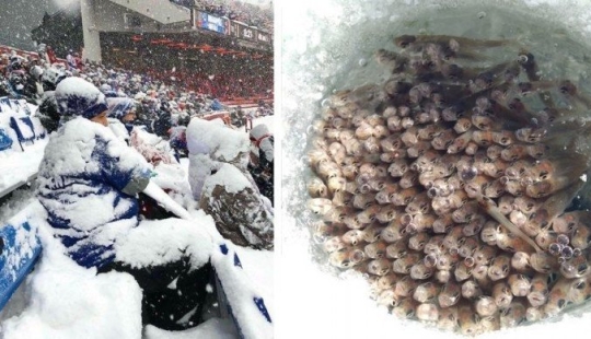 Eso es lo que un verdadero invierno: 30+ fotos que va a ser de frío