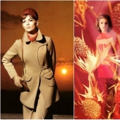 Espectacular fotografía de moda por Franz Cristiana Gundlach hecho en el 50-70-erótico