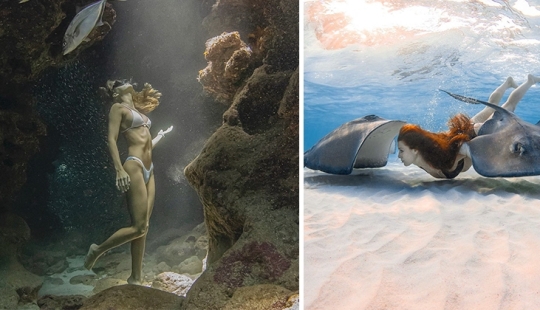 Espectáculo submarino del buzo y fotógrafo Jason Washington Espectáculo submarino del buzo y fotógrafo Jason Washington