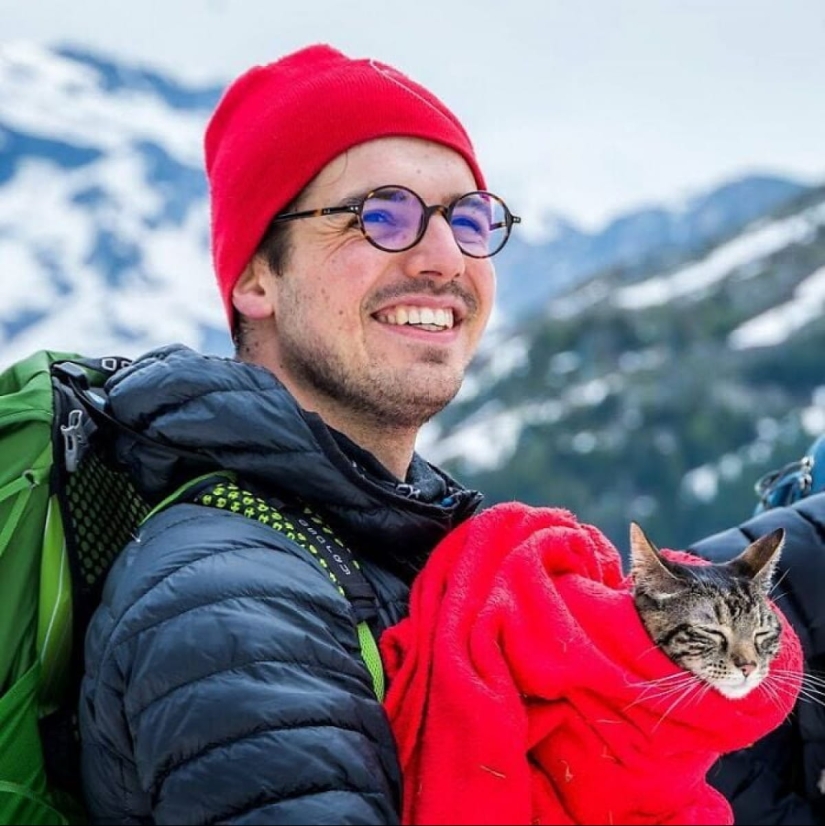 Esquí, surf, paracaidismo: el gato de Instagram vive cien veces más interesante que tú