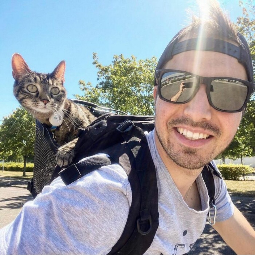 Esquí, surf, paracaidismo: el gato de Instagram vive cien veces más interesante que tú