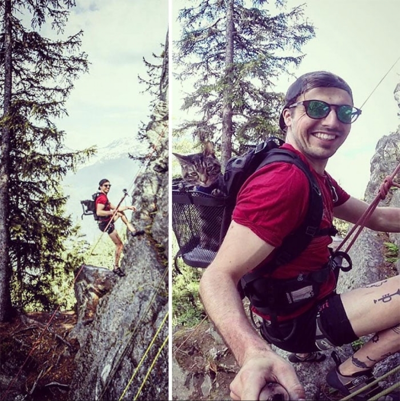 Esquí, surf, paracaidismo: el gato de Instagram vive cien veces más interesante que tú