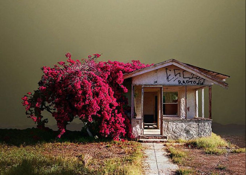 Esquinas olvidadas en el desierto de California Esquinas olvidadas en el desierto de California