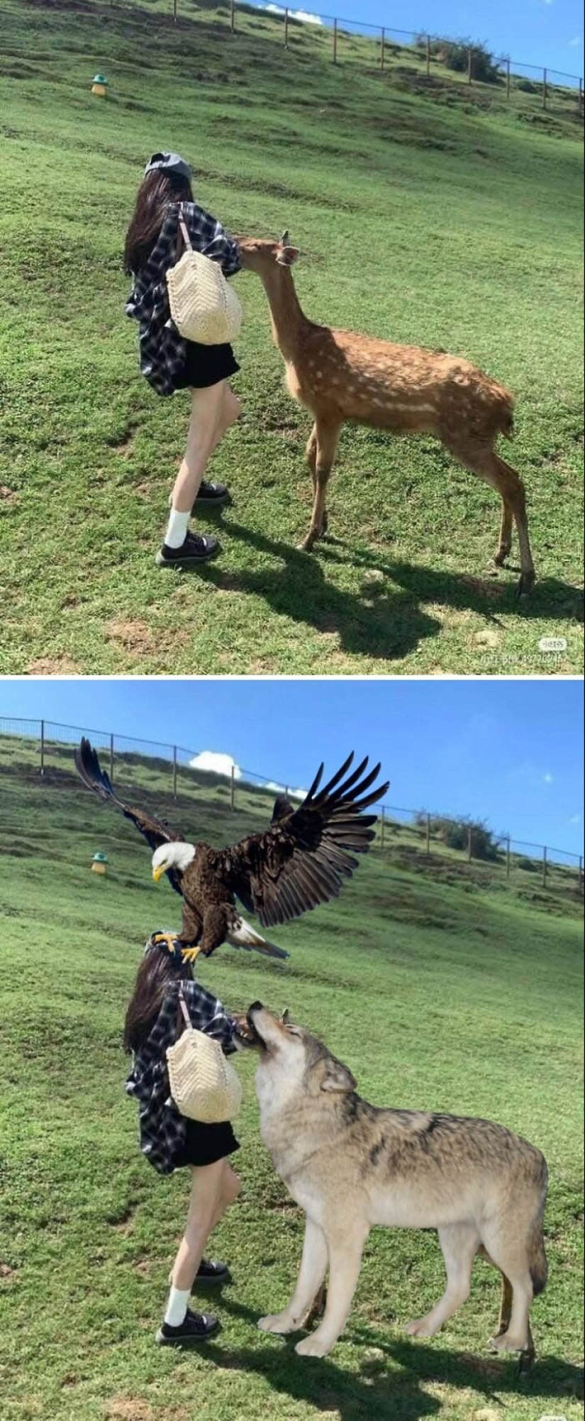 Esta página de Facebook recopila ediciones de fotos solicitadas por los usuarios, y aquí están 16 de las más divertidas.